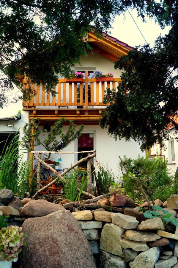 Agroturystyka U Willima Mechnica Exterior foto